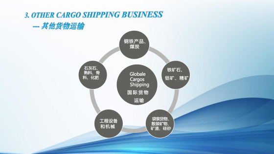 OTHER CARGOS SHIPPING BUSINESS